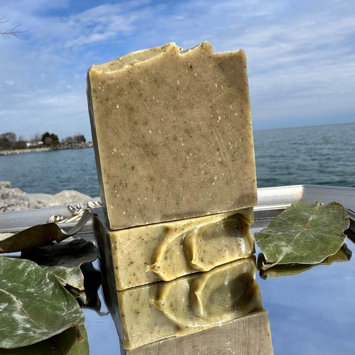 Soursop & Spirulina Purifying Bar