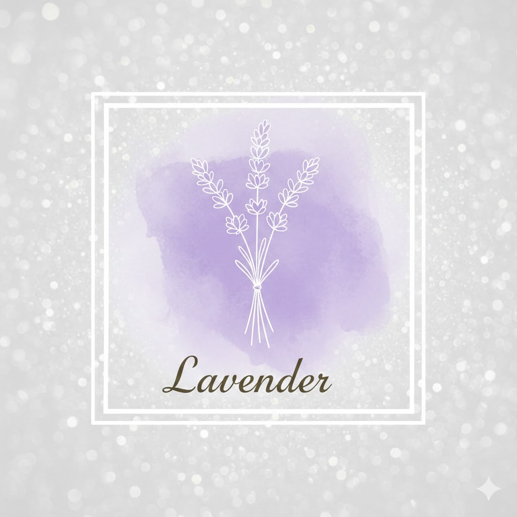 π Lavender | Whipped Body Butter