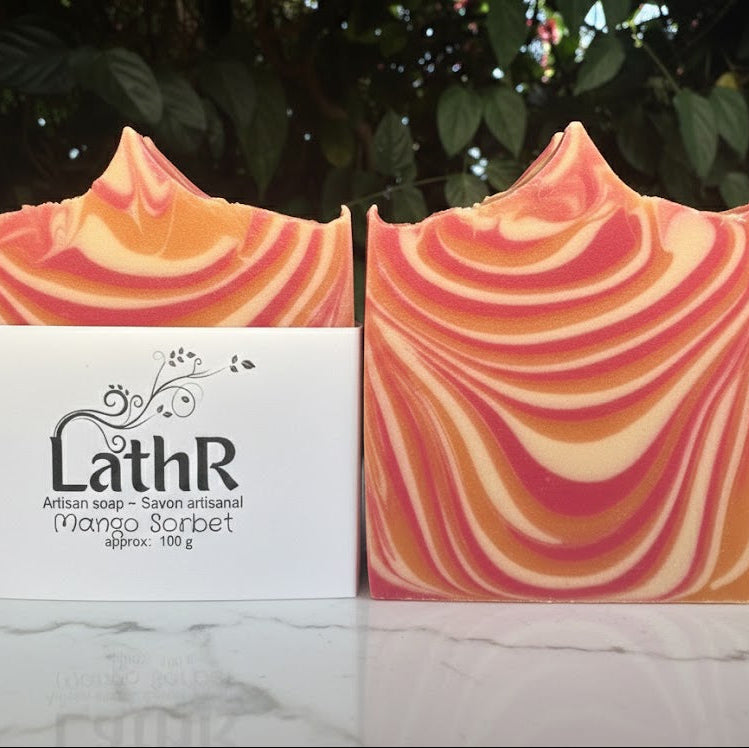 Mango Sorbet Artisan Bar